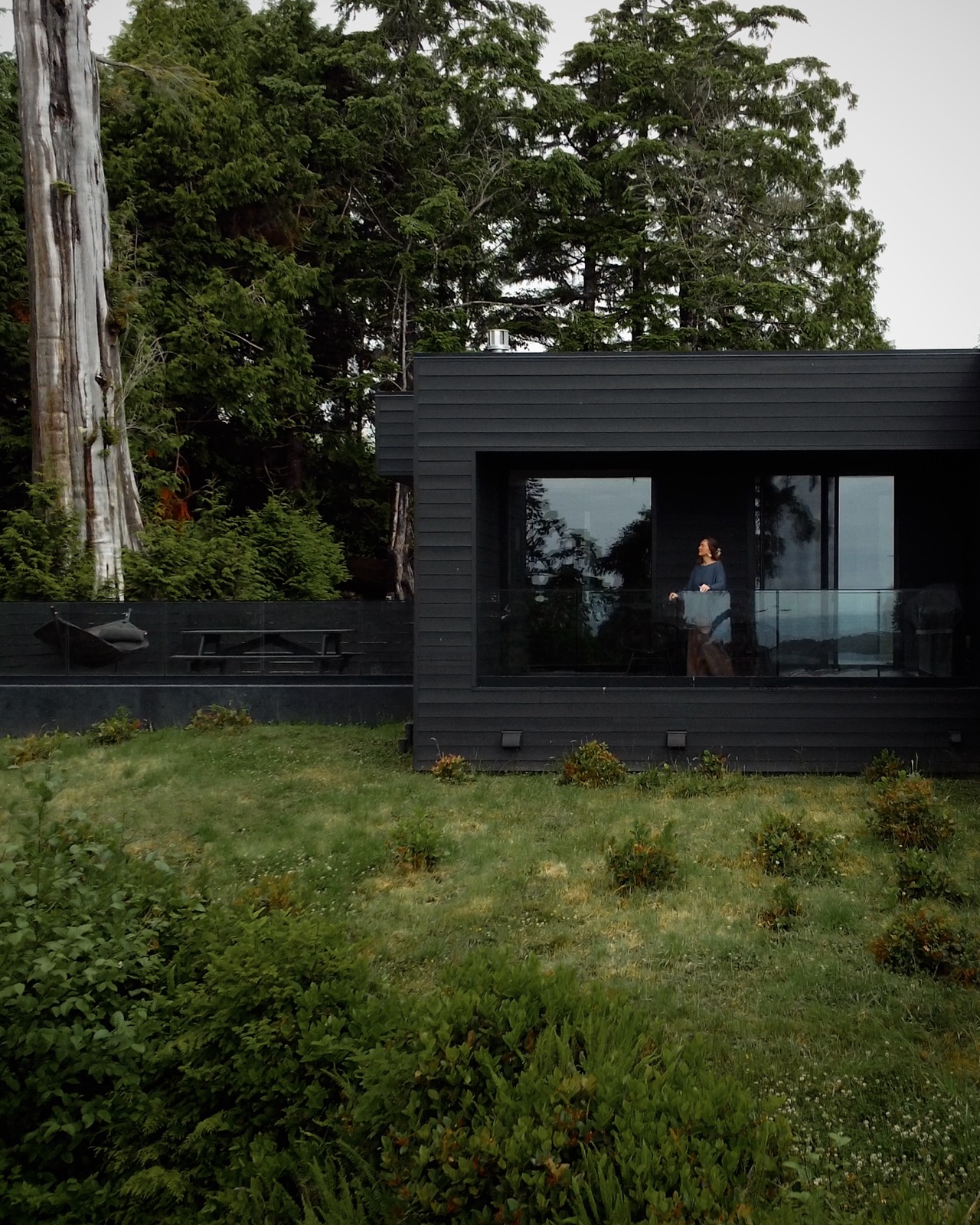 Black Beach House — the black-clad home among the coastal forest, light in the window