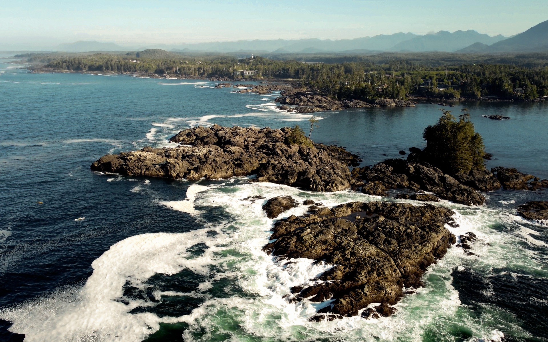 Aerial of the wild Pacific coastline at golden hour