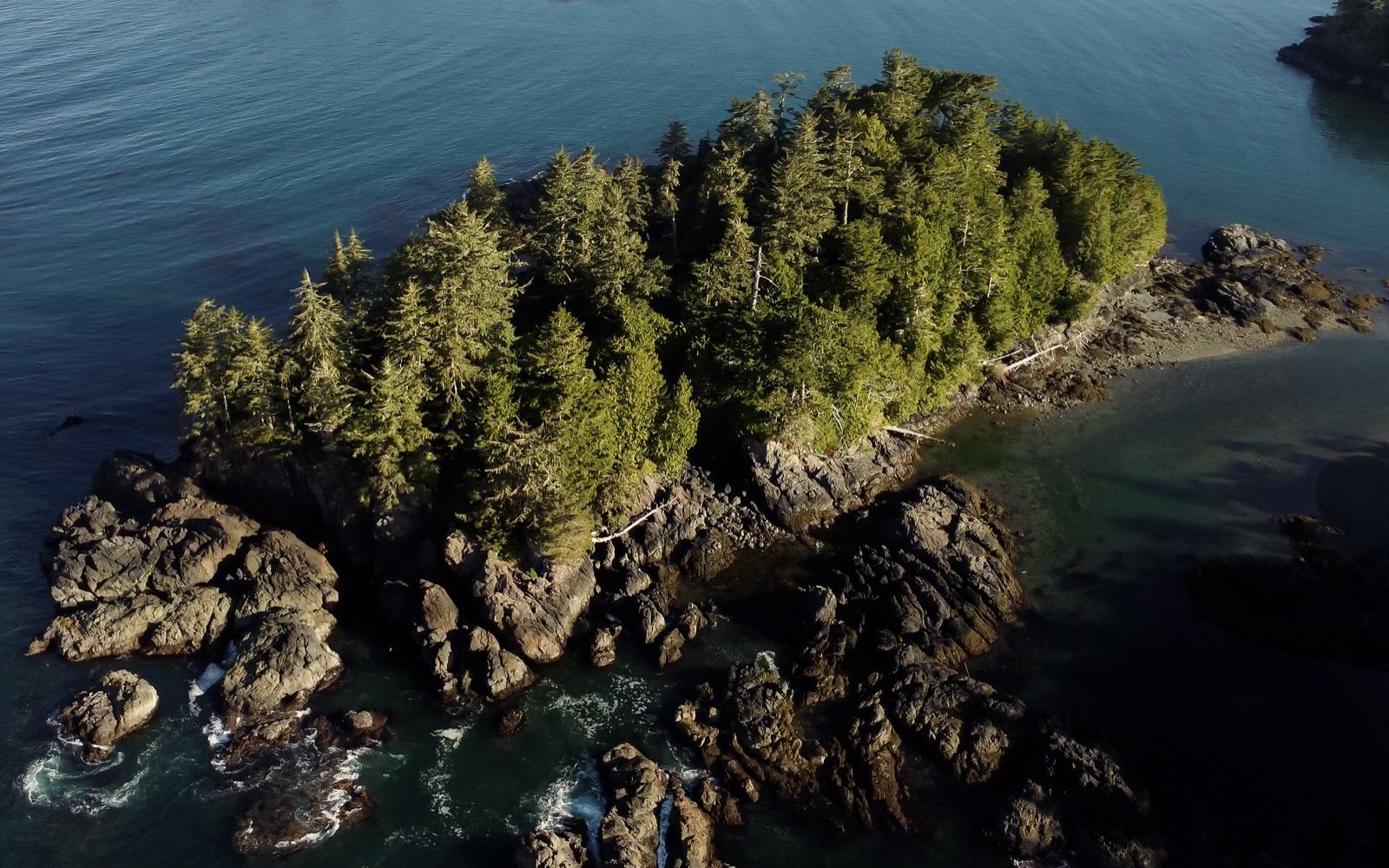 Aerial of the rugged coastline and turquoise surf